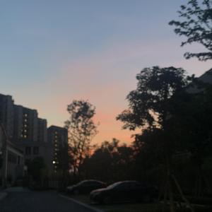 婷婷在线观看视频
